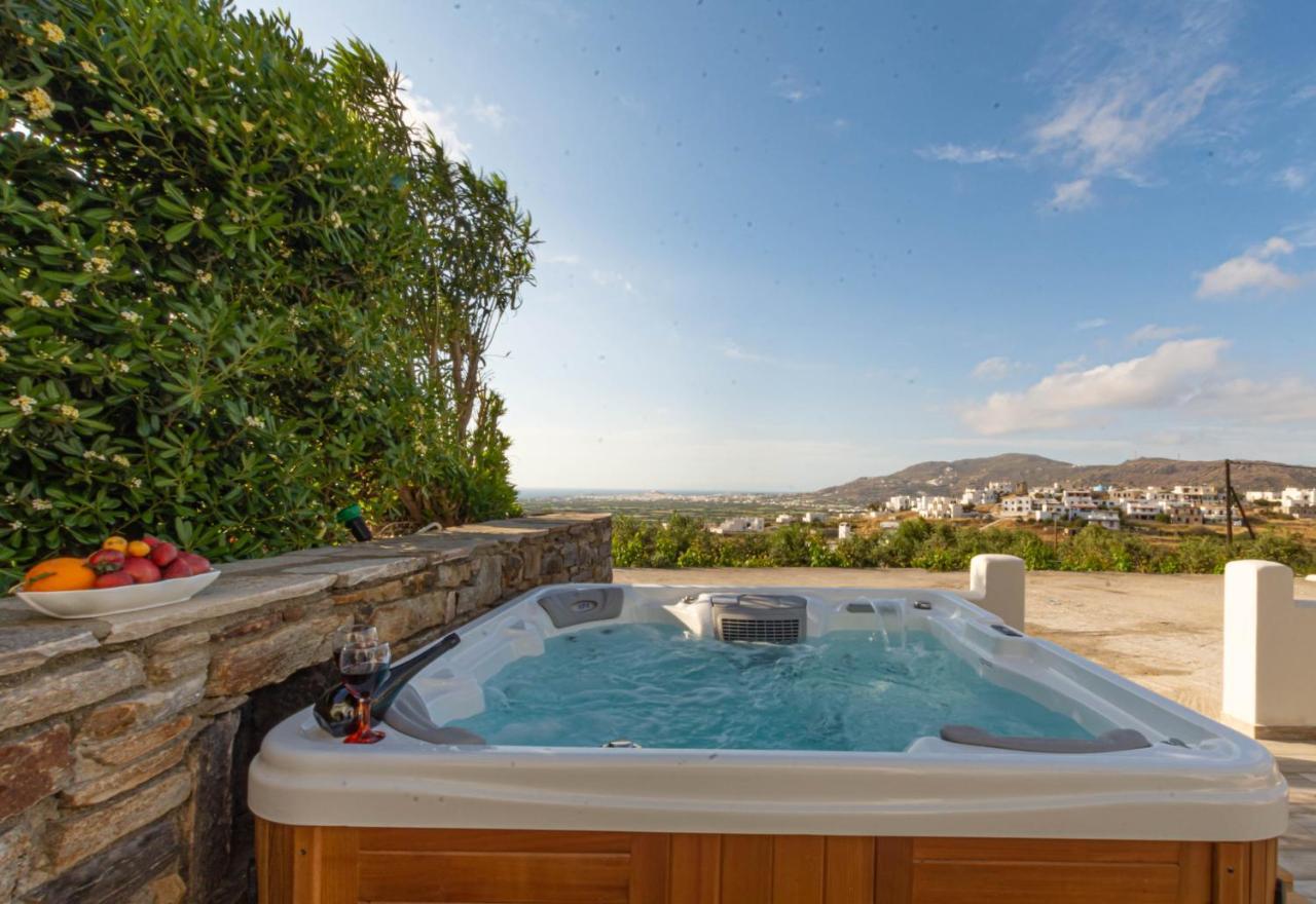 Villa Di Sergio Glinado Naxos エクステリア 写真